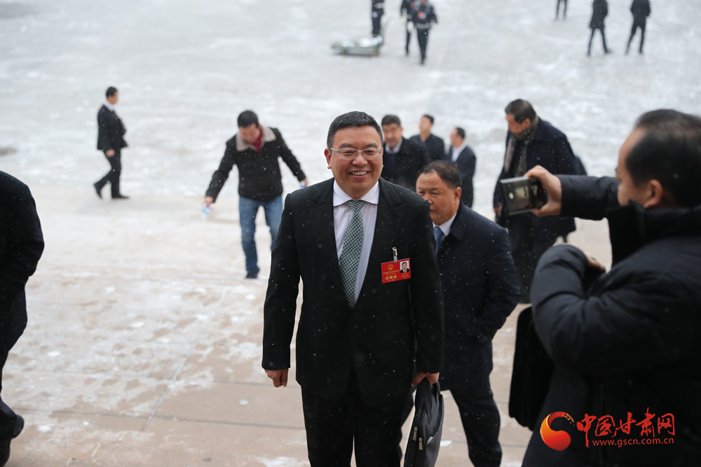 【聚焦2020甘肅兩會】“兩會”代表、委員風(fēng)采掠影（組圖）