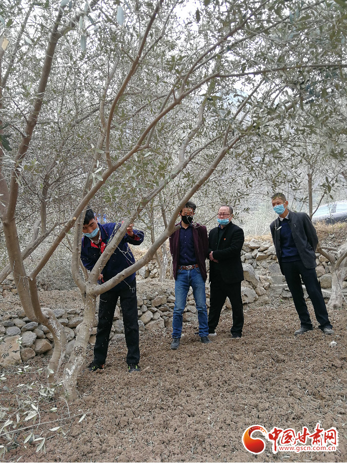 【甘肅全民戰(zhàn)“疫”】防疫“不下”生產(chǎn)線“青果果”培育正當(dāng)時