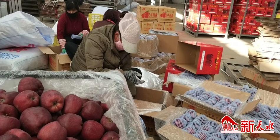 天水“花牛”最近有點(diǎn)“?！?>
        </a><em>天水“花?！弊罱悬c(diǎn)“?！?/em></li>
    <li><a  target=