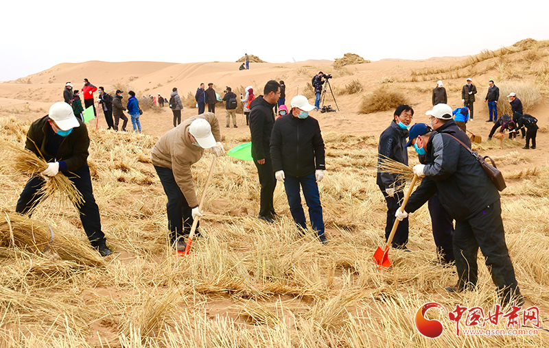 不“疫”樣的植樹節(jié)！甘肅省新聞戰(zhàn)線工作者攜手播綠“八步沙”（圖+視頻）