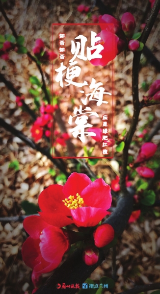 來(lái)，跟這些美美的花朵認(rèn)識(shí)一下！