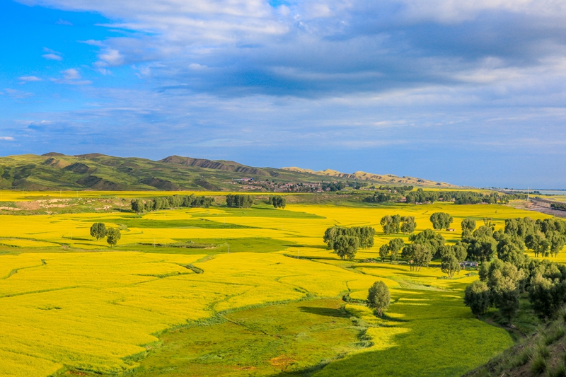 創(chuàng)意海報丨甘肅的美，你來了才知道