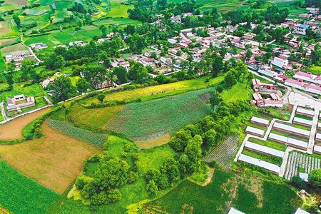 【溫暖的回響 滄桑巨變 飲水思源】這條路，通往幸福