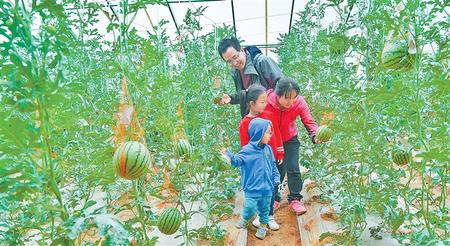 【鏡頭中的脫貧攻堅(jiān)】開心農(nóng)場真“開心”