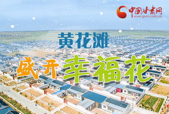 【跟著總書記看甘肅】長圖|武威黃花灘盛開幸?；?