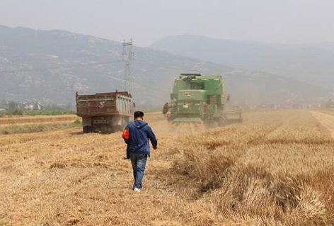 蘭州農(nóng)機安全監(jiān)理確保“三夏”安全生產(chǎn)