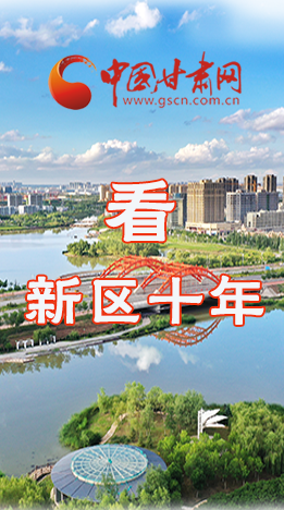 圖解|崛起！新區(qū)十年