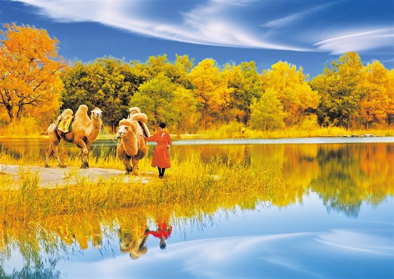 國慶長假，去金塔遇見最美胡楊