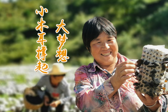 海報(bào)丨他們，乘“豐”破浪！