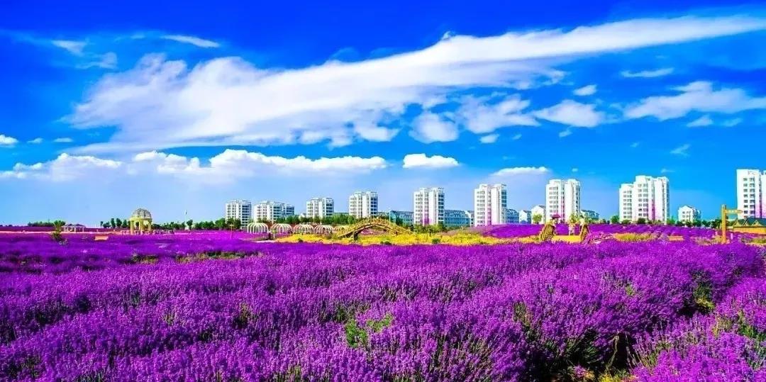 喜訊！金昌蟬聯(lián)全國(guó)文明城市