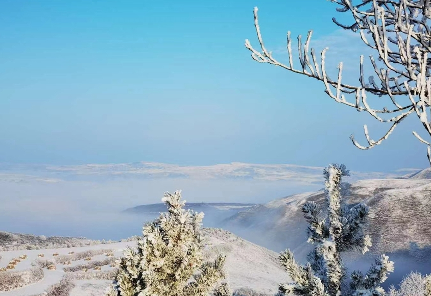 【大美甘肅】甘肅平涼：銀裝素裹賞霧凇