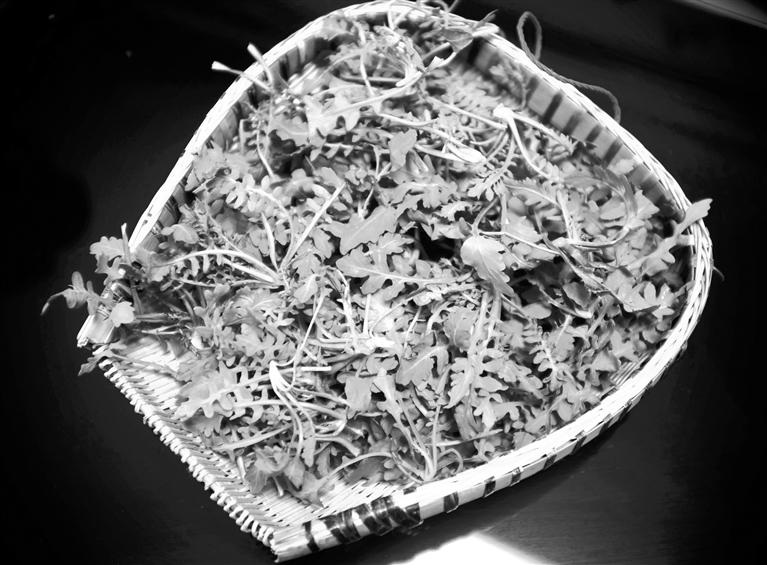 甘肅美食丨摘野菜，咬個(gè)“春”，讓味蕾清新起來(lái)