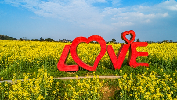 “l(fā)ove”創(chuàng)意拍照墻。廖濤 攝