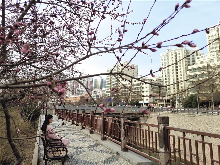 蘭州“第一朵花”開了！