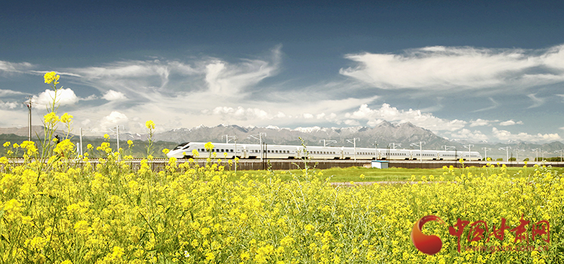 坐上火車“邂逅”春天，你可以這樣享“鐵路游”