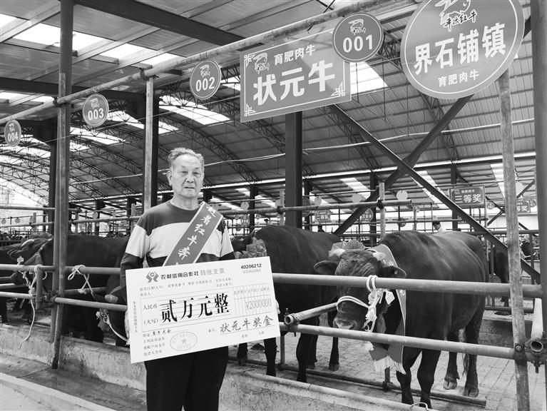 120頭“平?jīng)黾t?！膘o寧爭霸