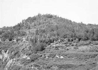 歷史眼丨張果老是正寧人？他與甘肅福緣不淺