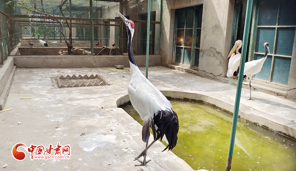 蘭州公安提醒市民：非緊急非必要，不出境