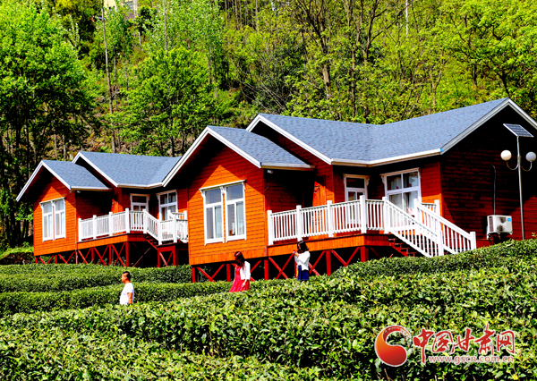 文縣：“體驗(yàn)式”民宿 開啟茶農(nóng)增收“新路子”