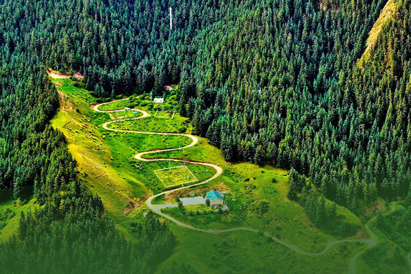 海報(bào)|祁連山保護(hù)區(qū)生態(tài)環(huán)境問題整改全面完成！