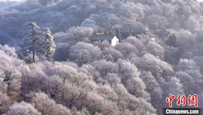 圖為霧凇美景。　徐振華 攝