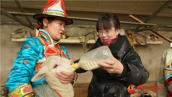 【履職盡責喜迎全國兩會】全國政協委員賀穎春：走訪牧民聽民意  建言資政為基層