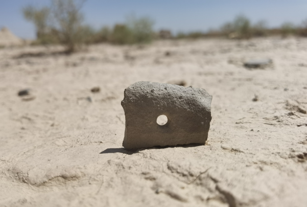 插圖1：河西走廊上遺存的古陶片。攝影：陳曉斌。拍攝日期：2020年6月。