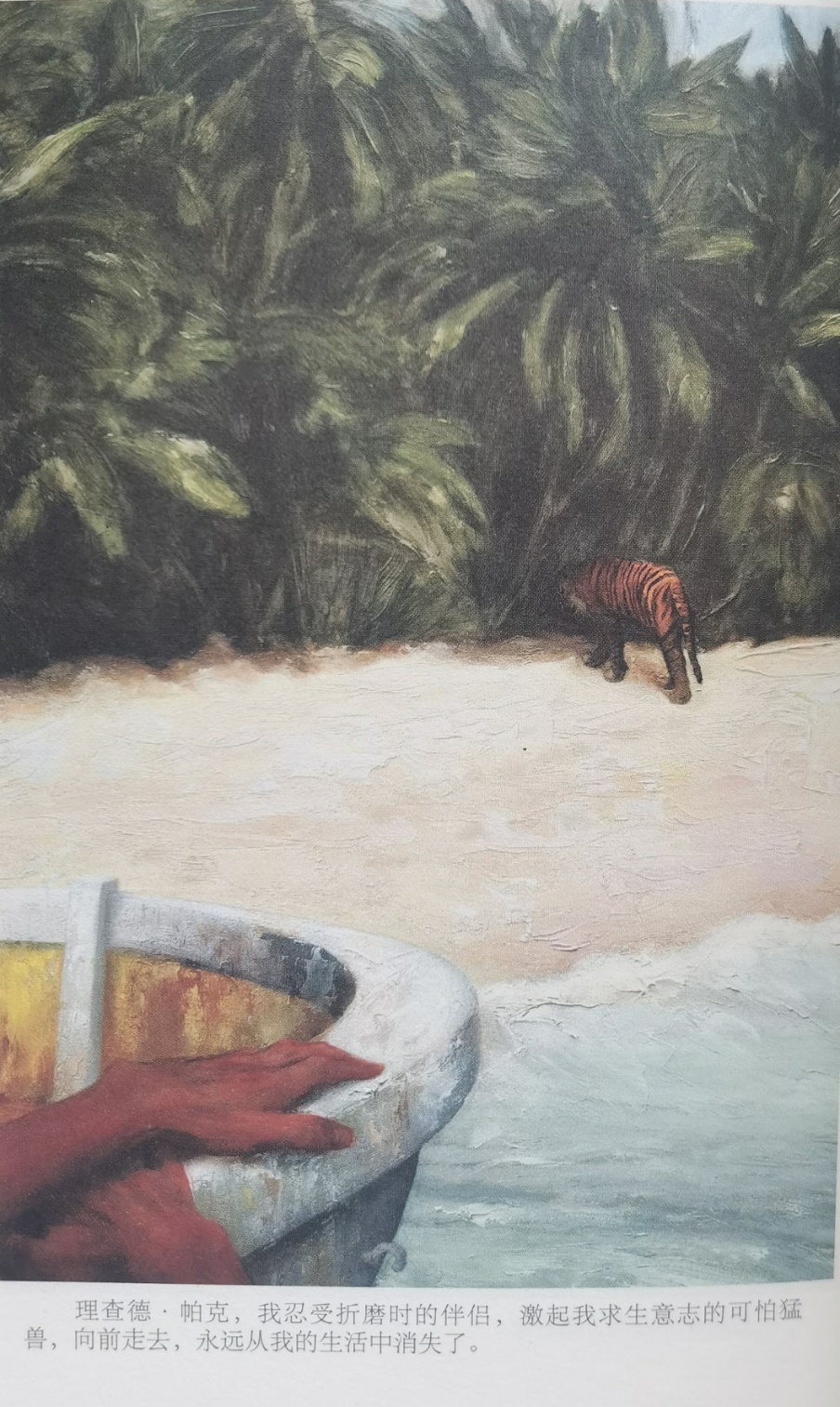 插圖3：揚(yáng)？馬特爾的小說《少年pi的奇幻漂流》插圖
