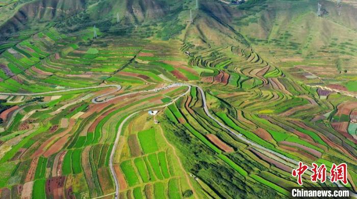 秋日里，榆中縣馬坡鄉(xiāng)千畝梯田，不同農(nóng)作物漸趨成熟，呈現(xiàn)出多種色彩，宛若大地的“調(diào)色盤”?！圆?攝