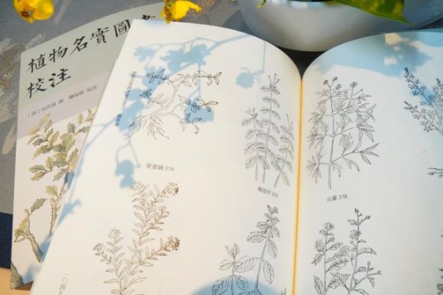 《植物名實圖考校注》內(nèi)頁。圖片來源：中華書局供圖