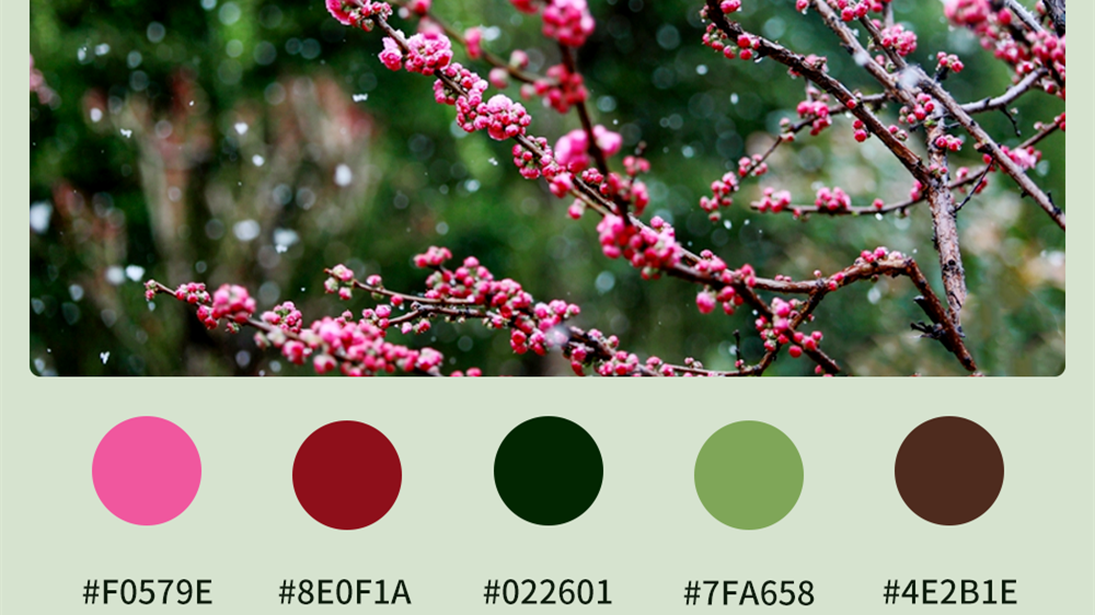 微海報|收藏！色卡里的春日甘肅