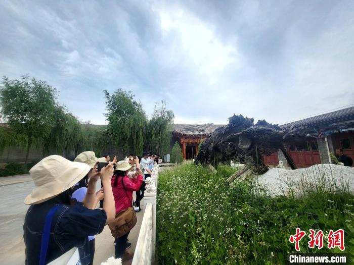 圖為媒體記者在青海永錄民俗參觀采訪?！⊙Φ?攝