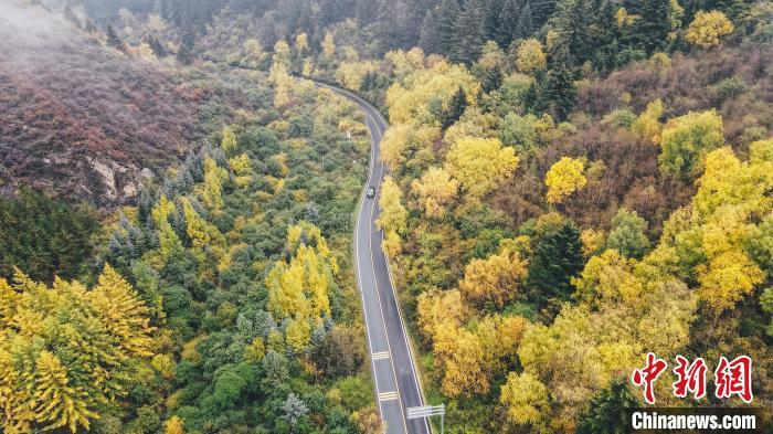 深秋，航拍位于蘭州市榆中縣的興隆山，景色如畫。金峯 攝</p>
<p>