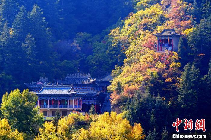 深秋，位于蘭州市榆中縣的興隆山景色如畫。宮衛(wèi)紅 攝