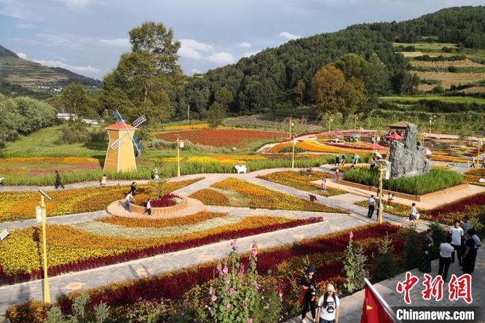 圖為航拍甘肅甘南臨潭縣八角鎮(zhèn)，花海吸引游人。(資料圖)高展 攝