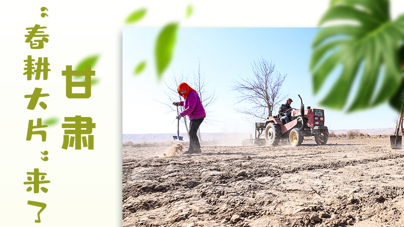 【甘快看】海報|瞧！甘肅“春耕大片”來了