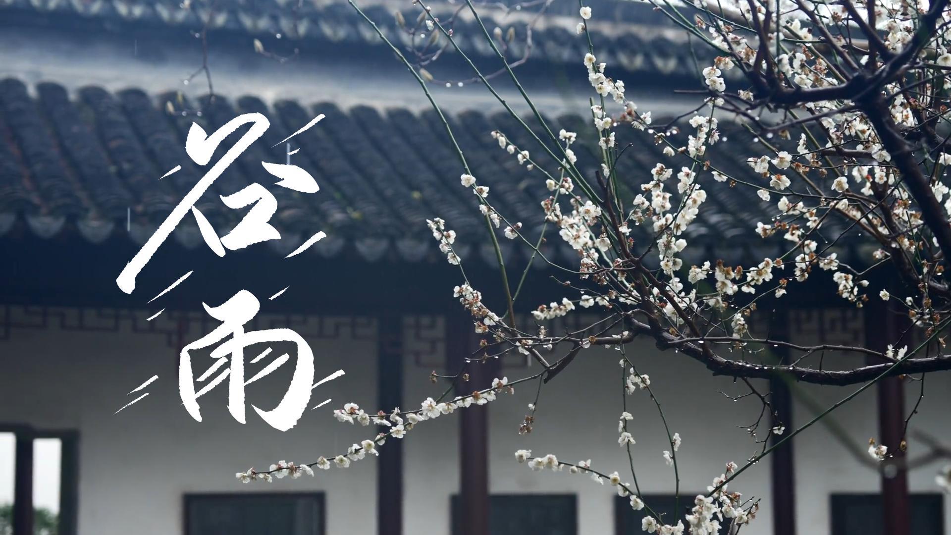 【節(jié)氣里的大美甘肅】谷雨，春天的最后一次回眸