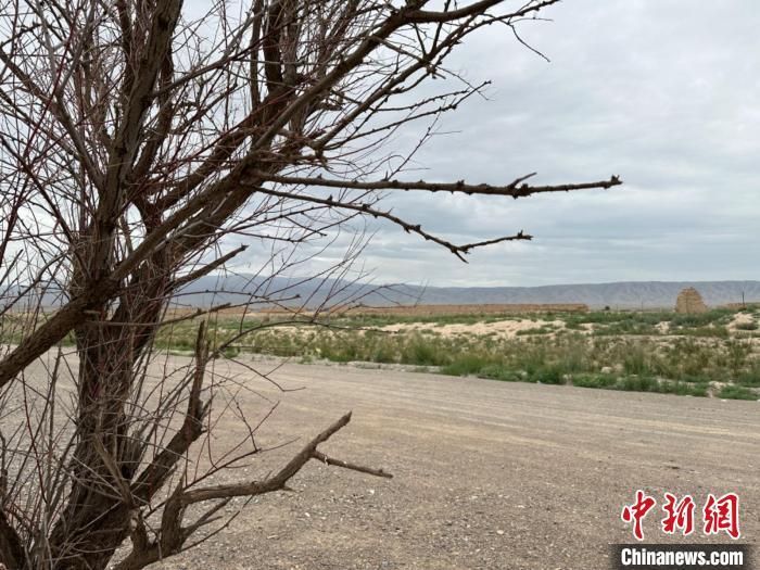 圖為位于長(zhǎng)城墻體上的“馬面”或“敵臺(tái)”?！〈魑牟?攝