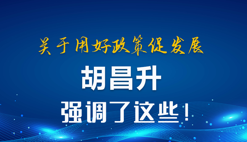 圖解|關(guān)于用好政策促發(fā)展 胡昌升強調(diào)了這些！