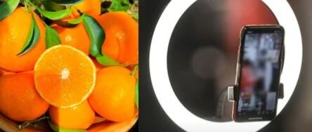 聲稱(chēng)“橙子提高免疫力”、“悲情助農(nóng)”等類(lèi)案頻發(fā)，敲響各單位直播帶貨警鐘