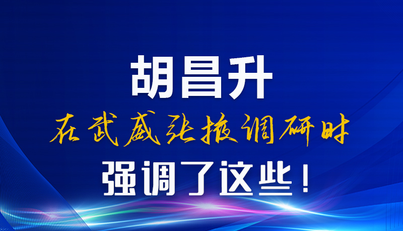 圖解|胡昌升在武威張掖調(diào)研時強調(diào)了這些！