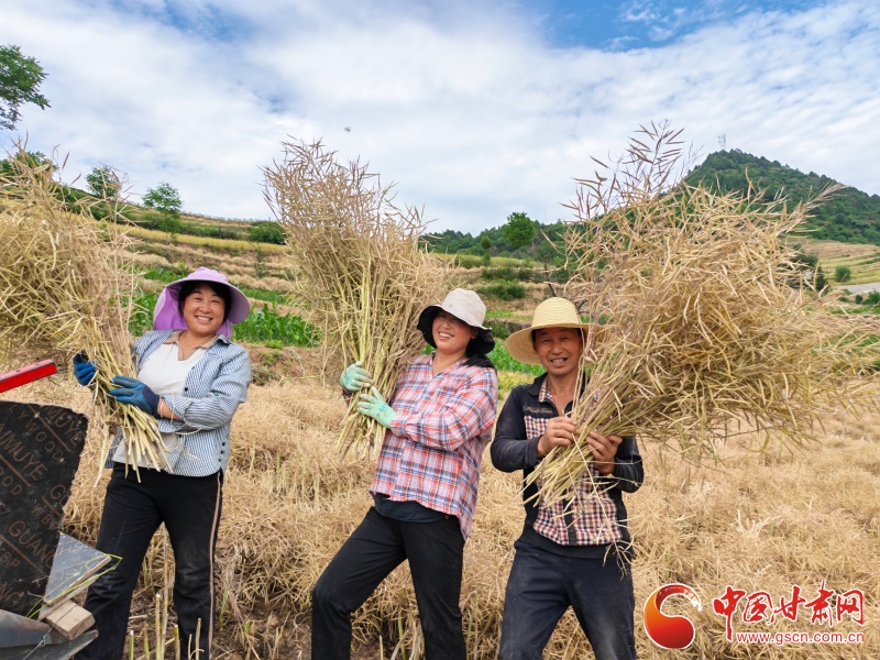 高山油菜喜獲豐收 農(nóng)文旅拓寬富民增收路