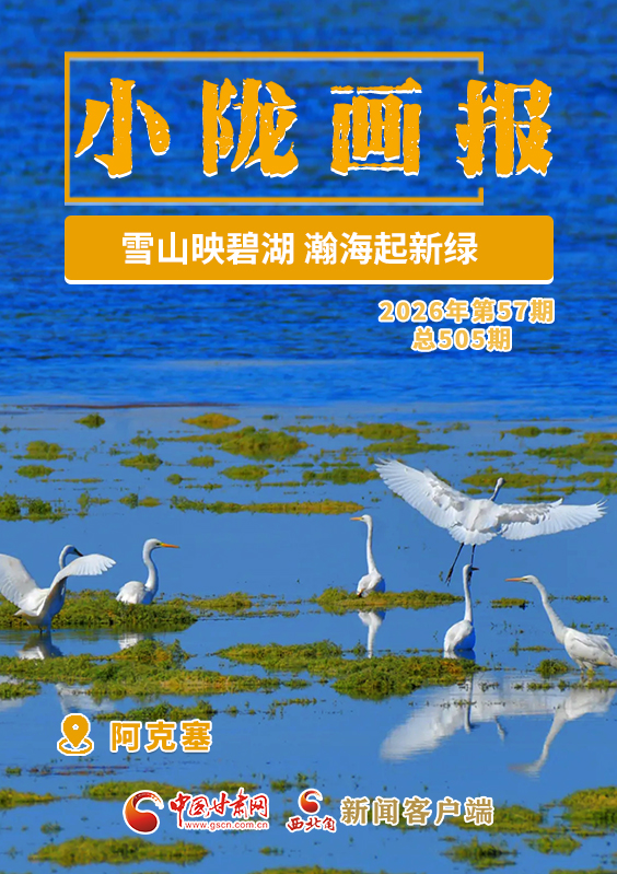 【小隴畫報·505期】阿克塞：雪山映碧湖 瀚海起新綠