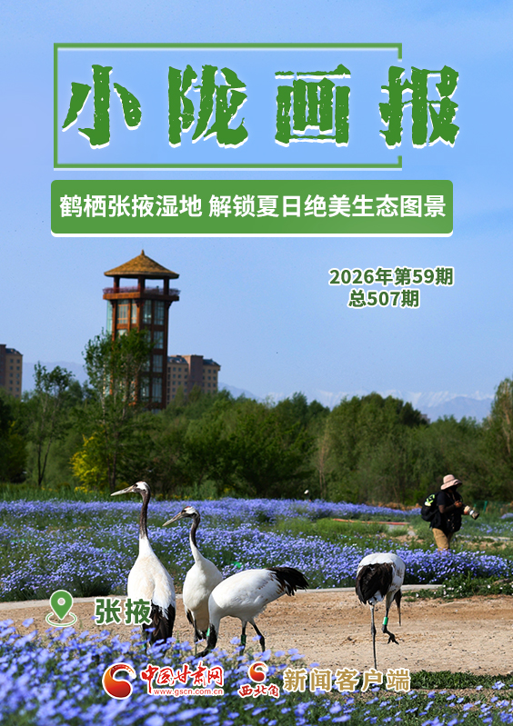 【小隴畫報(bào)·507期】鶴棲張掖濕地 解鎖夏日絕美生態(tài)圖景